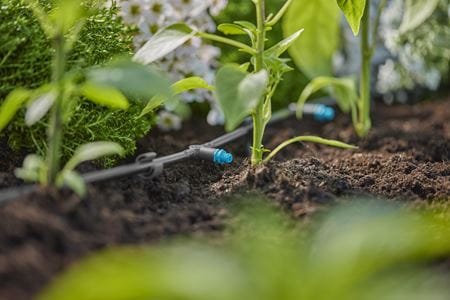 Gotero Serie Micro-Drip-System Gardena 2 L/H (Negro/Turquesa, 10 Piezas, Modelo 2023) 13317-20