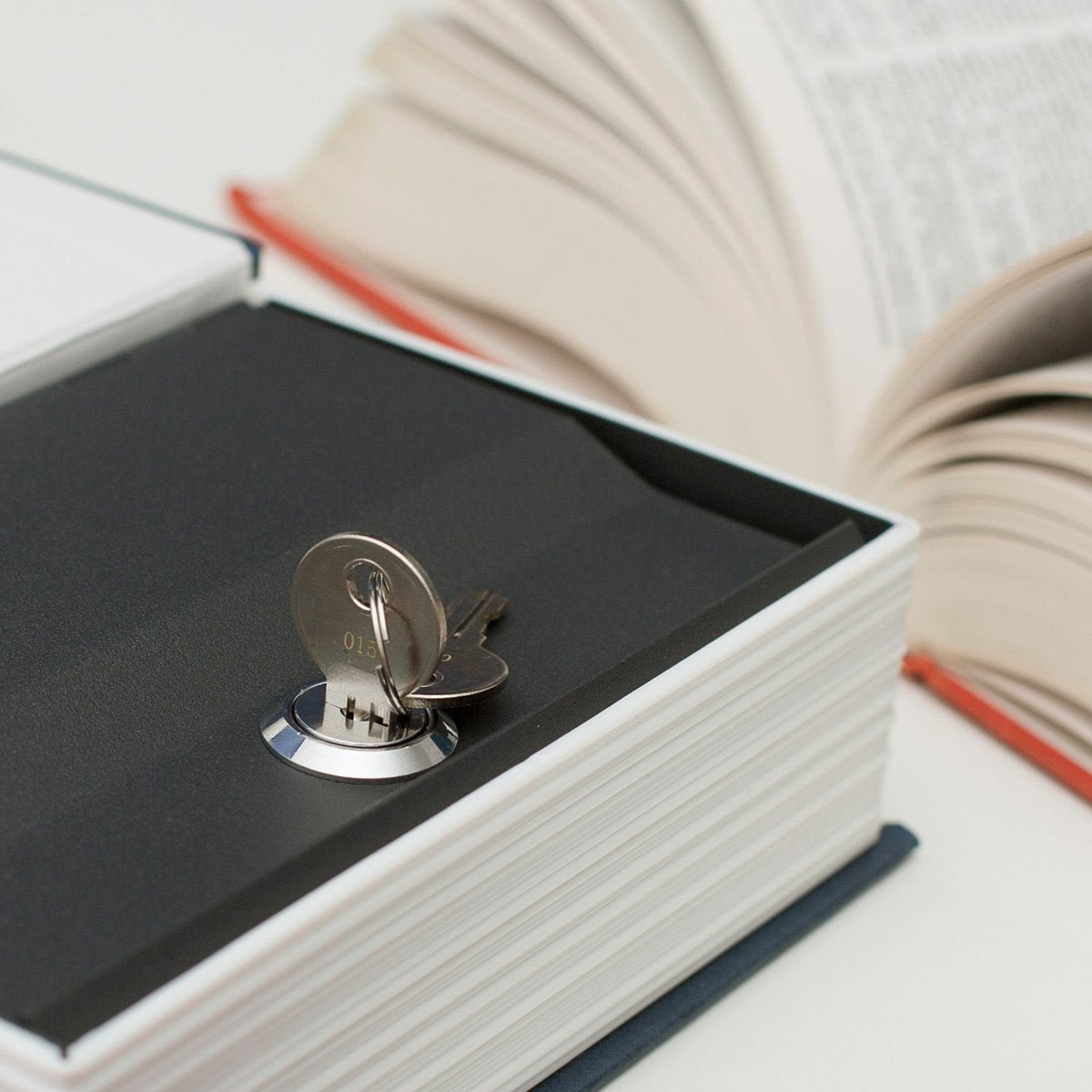 Mad Monkey - Libros Tresor Con Llave