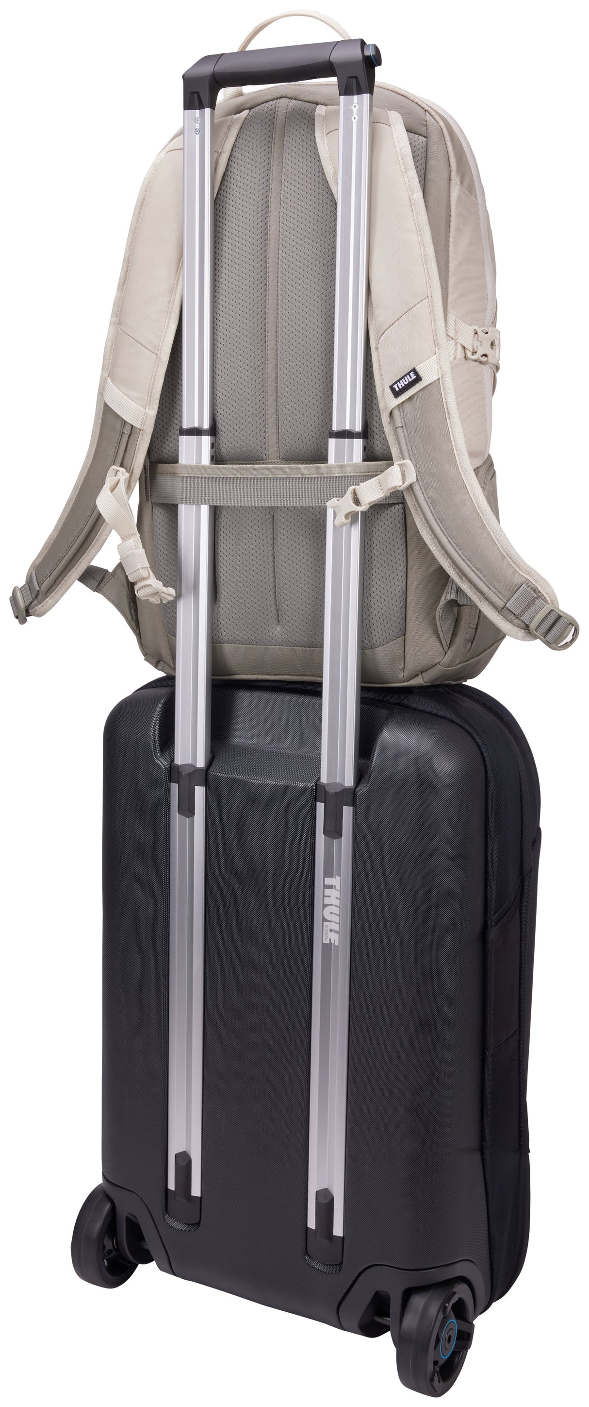 EAN 0085854253413 - Thule EnRoute TEBP4116 - Pelican/Vetiver mochila Mochila informal Gris, Blanco Nylon imagen 9