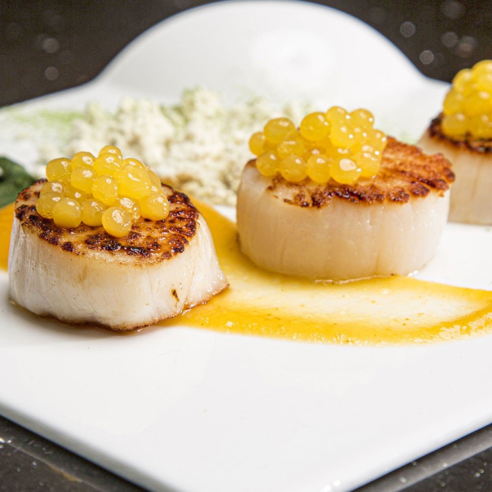 Rommelsbacher Fd 500 Electrodoméstico Para Decoración De Alimentos Aparato Para Elaboración De Perlas De Gelatina