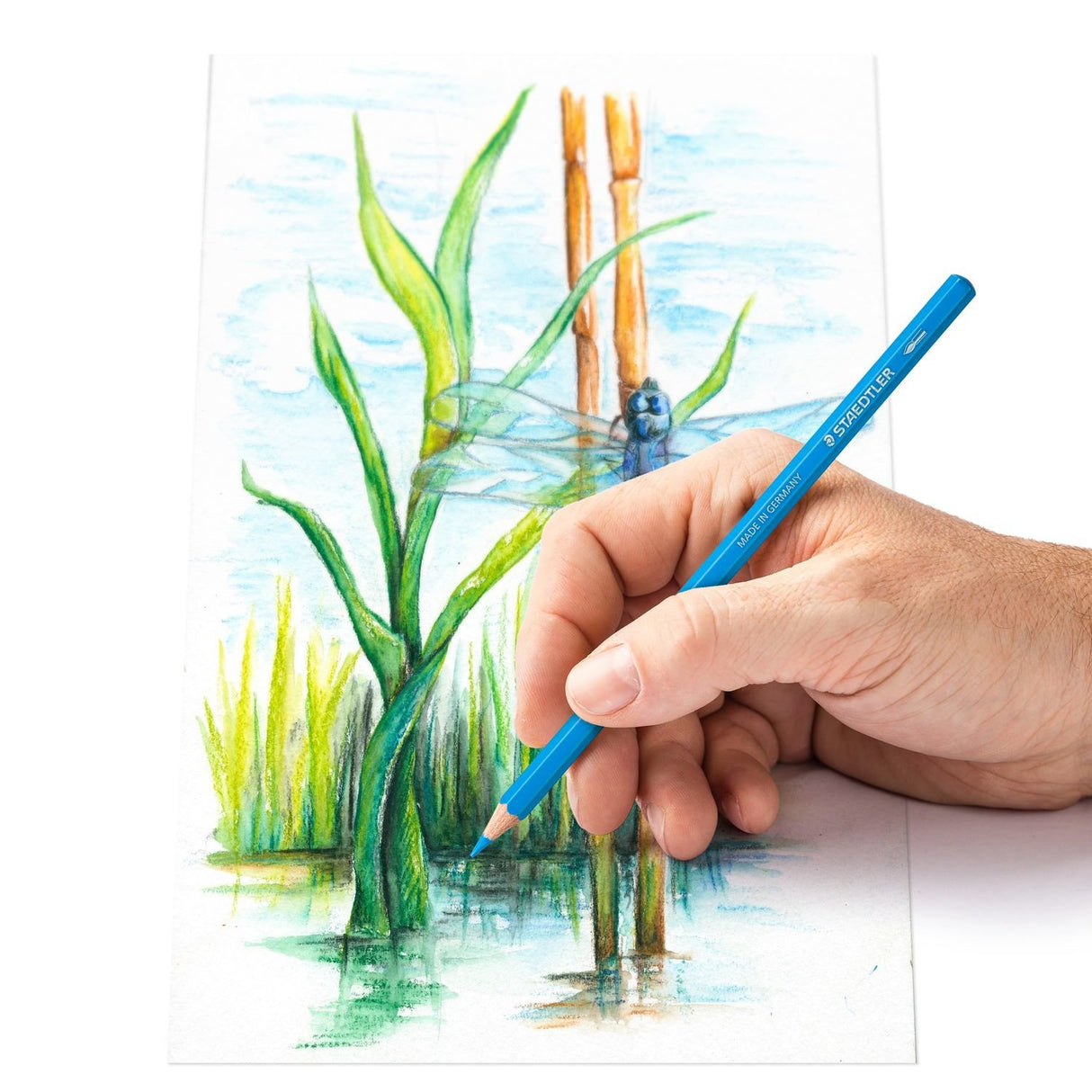 EAN 4007817055045 - Staedtler 146 10C Multicolor 12 pieza(s) imagen 5