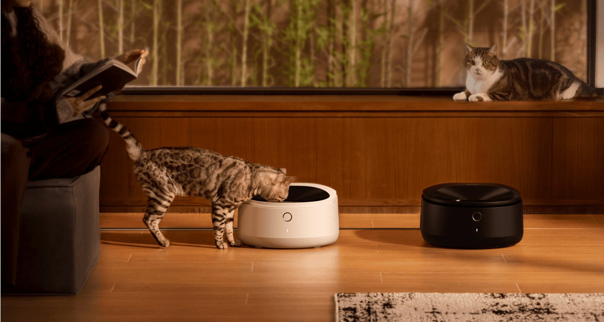 Petlibro Polar Wet Food Feeder
