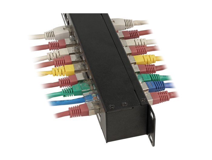 EAN 4043619432950 - DeLOCK 43295 panel de parcheo 1U imagen 2