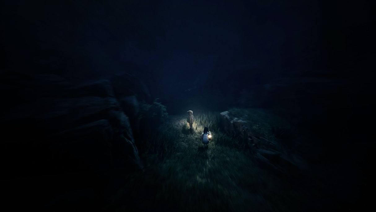 EAN 9120131603091 - THQ Nordic Reanimal imagen 4