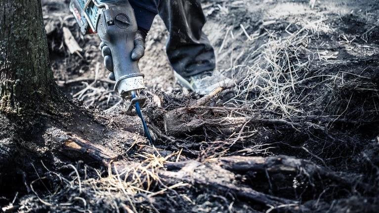 Bosch Hoja De Sierra De Sable Expert 'Tough Wood' S 1142 Khm 2608900403