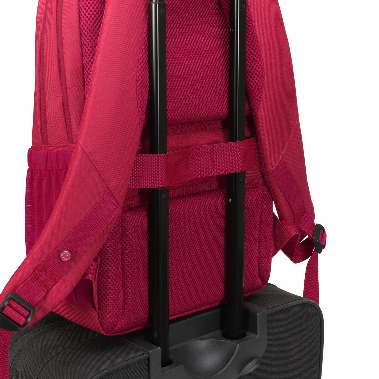 Dicota Scale Mochila Portatil 13-15.6 Rojo Tereftalato De Polietileno (Pet)