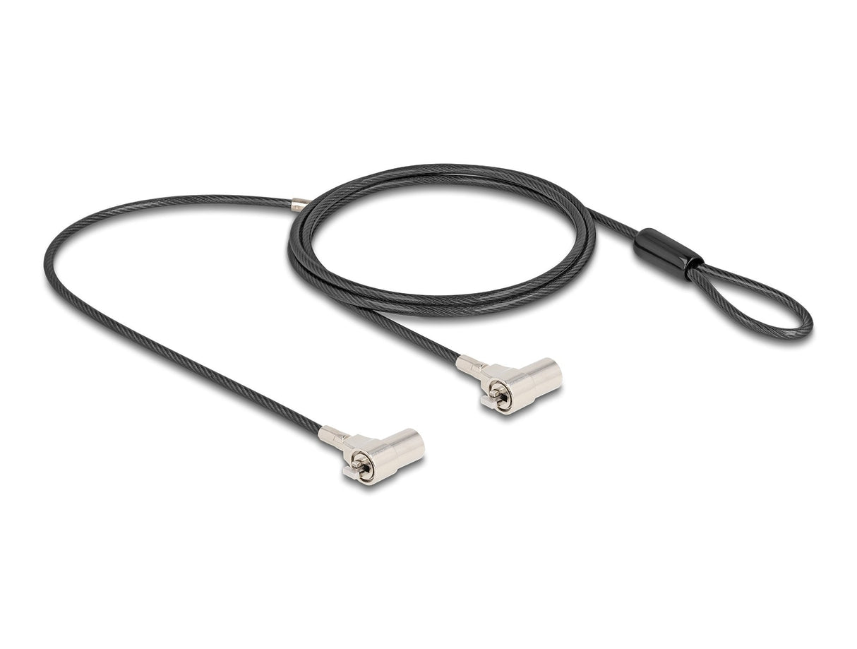 Navilock Dual Notebook Sicherungskabel