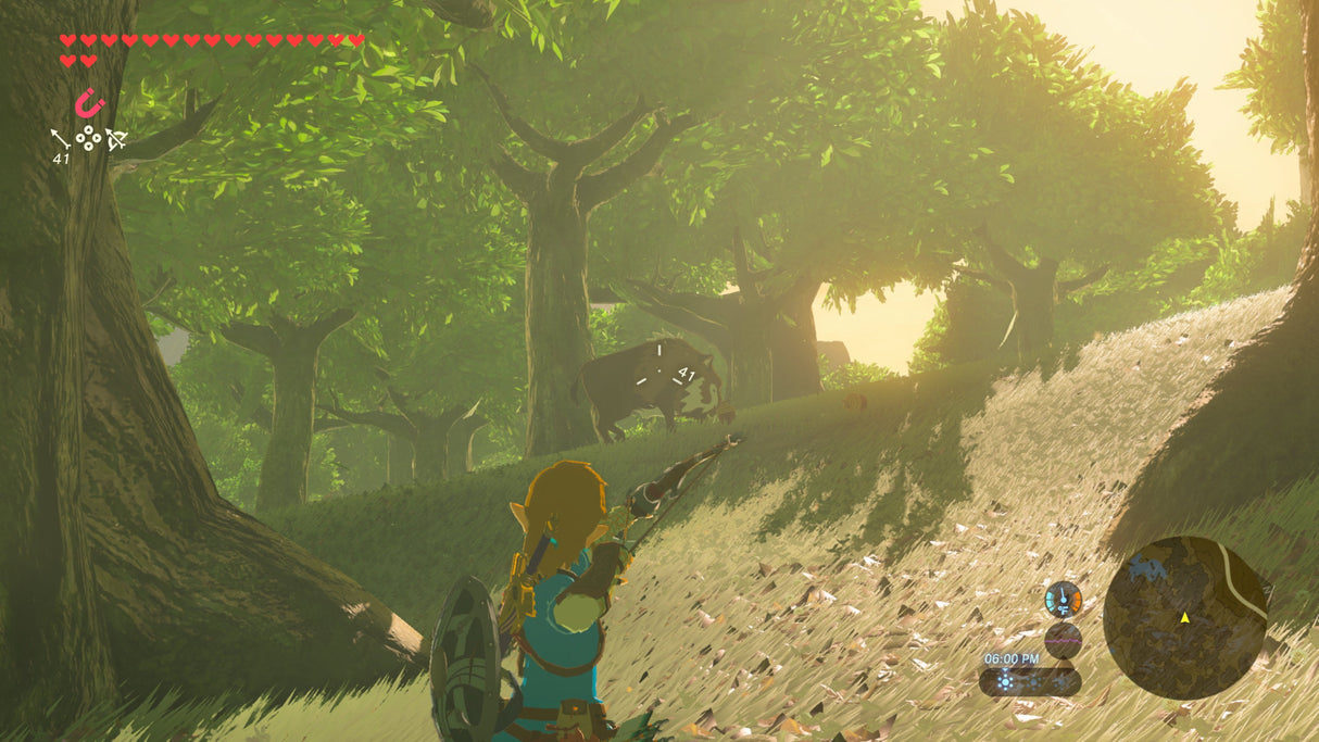 EAN 0045496312718 - Nintendo The Legend of Zelda: Breath of the Wild - Switch 2 Edition (Switch 2) Edición Nintendo Switch 2 imagen 5