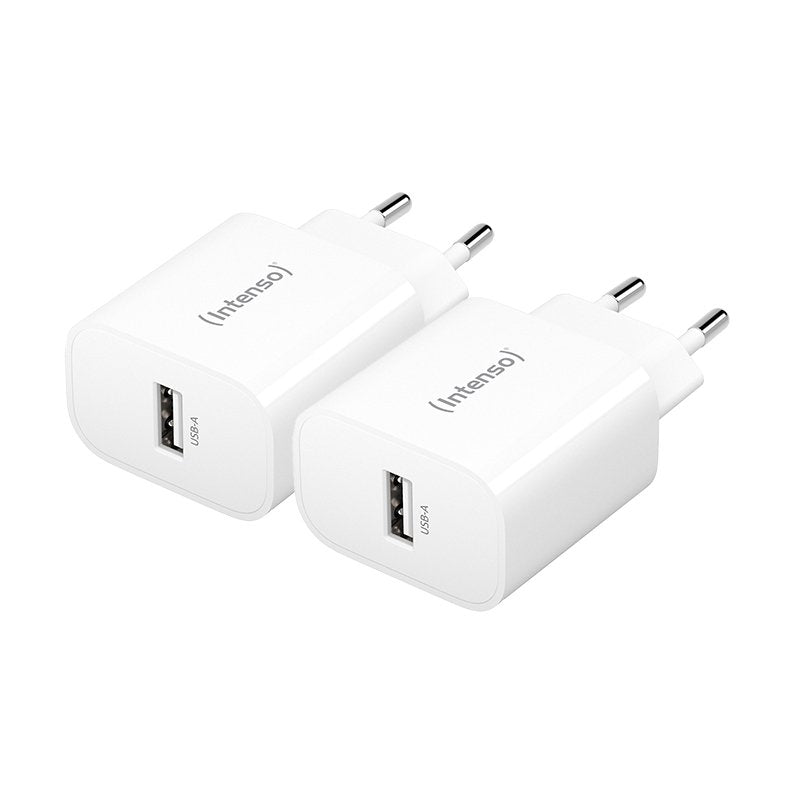 EAN 4034303036301 - Intenso 7800522 adaptador e inversor de corriente Interior imagen 1