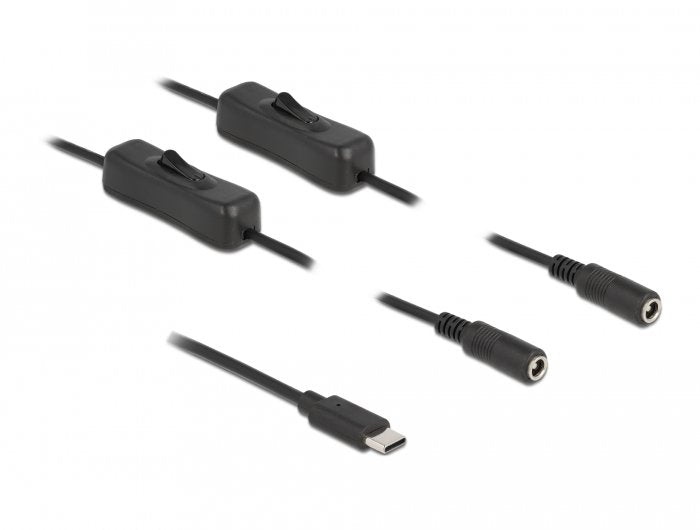 Delock Cable Usb Type-C Stecker Zu 2 X Dc 5,5 X 2,1 Mm Buchse Mit Schalter 1 M