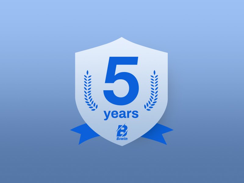 EAN 6955914623057 - Biwin PD2000 1 TB USB Tipo C USB 3.2 Gen 2x2 Oro imagen 19