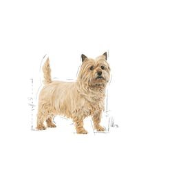 EAN 3182550894104 - Royal Canin Mini Light Weight Care 3 kg Adulto Vegetal imagen 2