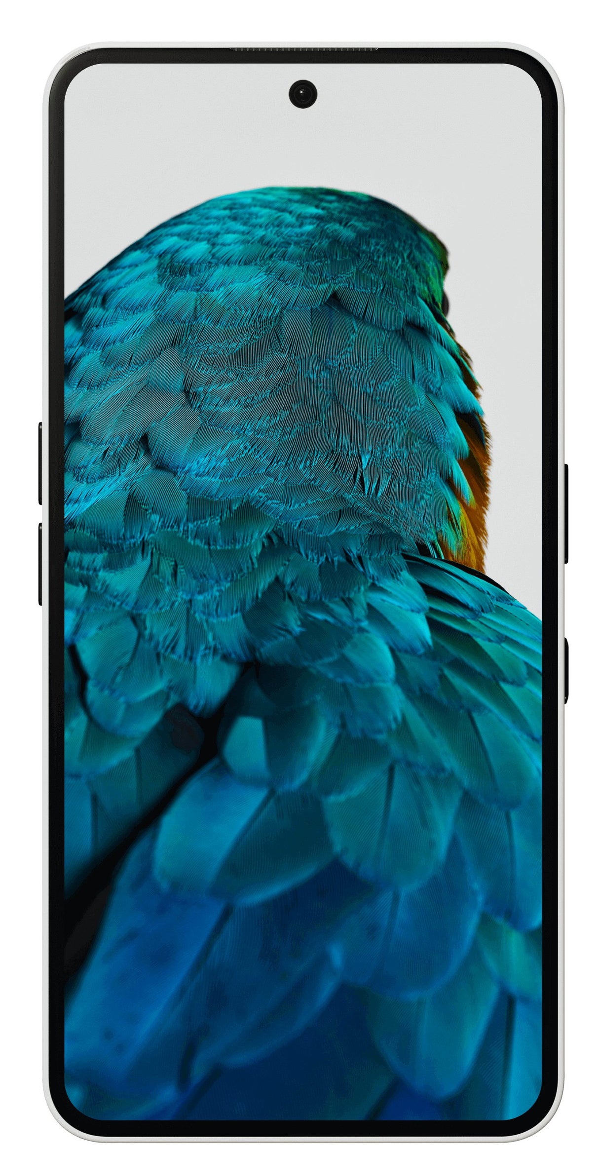 EAN 6974434224292 - Nothing Phone (3a) 17,2 cm (6.77") SIM doble Android 15 5G USB Tipo C 12 GB 256 GB 5000 mAh Negro imagen 1