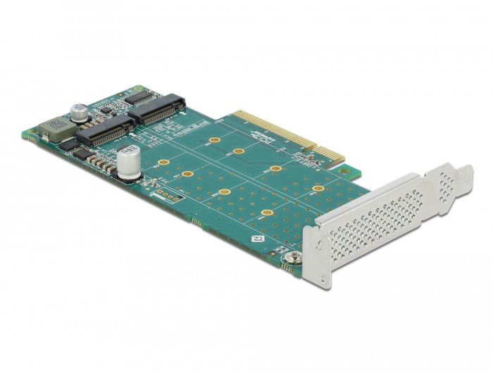 Delock Tarjeta Pci Express - 2x M.2 Key M