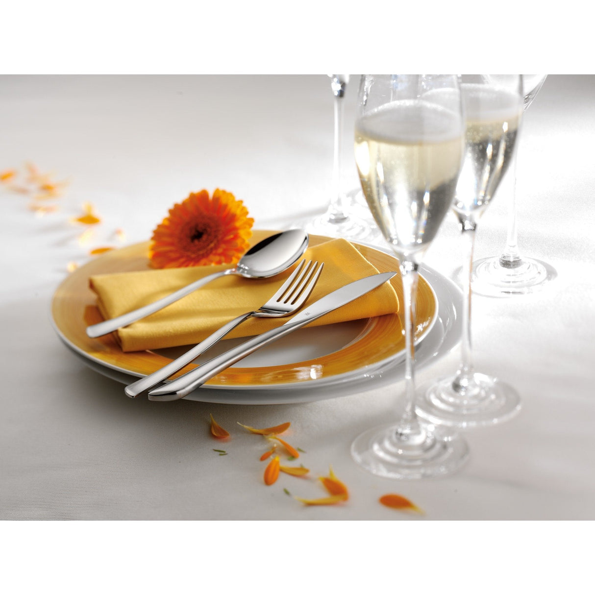 Wmf Virginia 11.4200.6391 Juego De Cubertería 66 Pieza(S) Acero Inoxidable