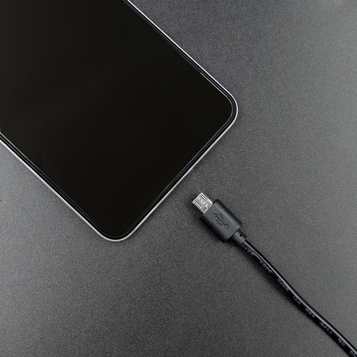 Qoltec 51022 Cargador 15w 5v 3a Microusb