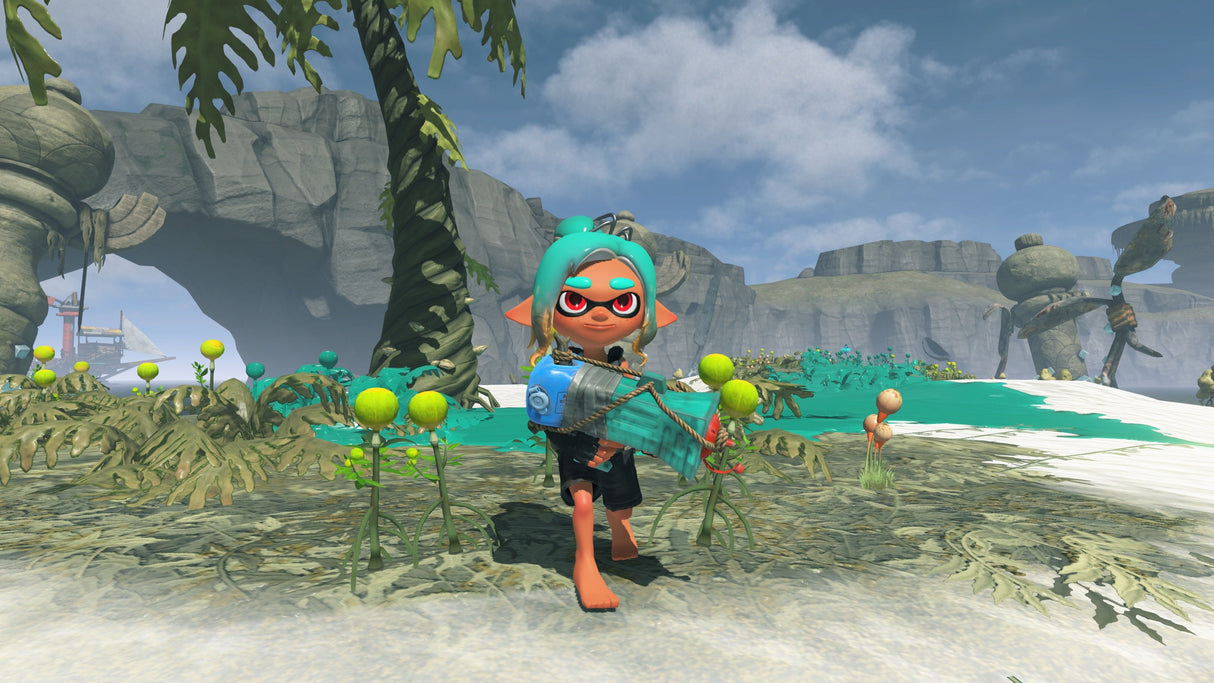 Switch 2 Bee Splatoon Raiders