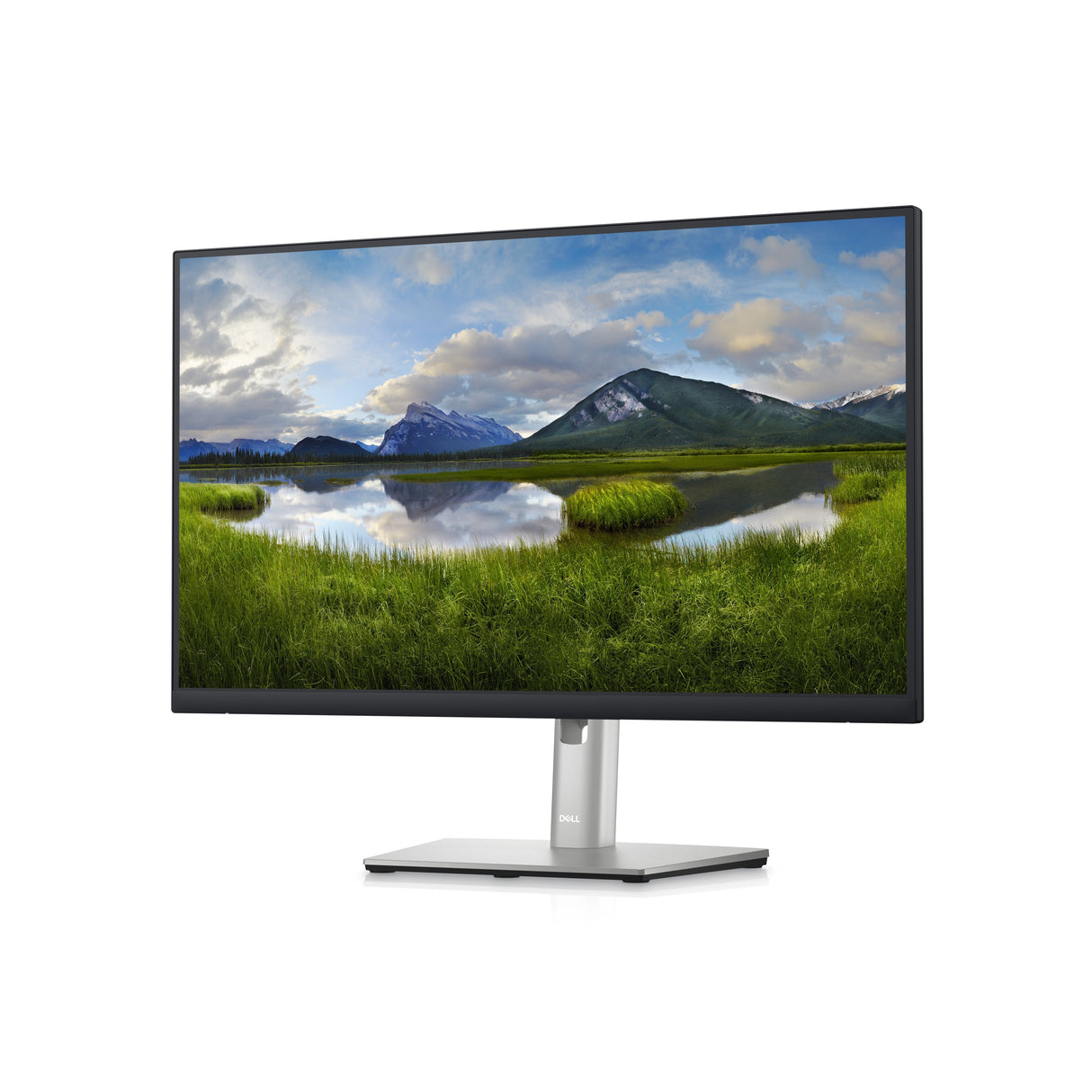 Monitor Dell 24 P2423de Professional Wqhd Ips 16:9 Hdmi Dp Usb-C Usb 5ms Piv Rj45