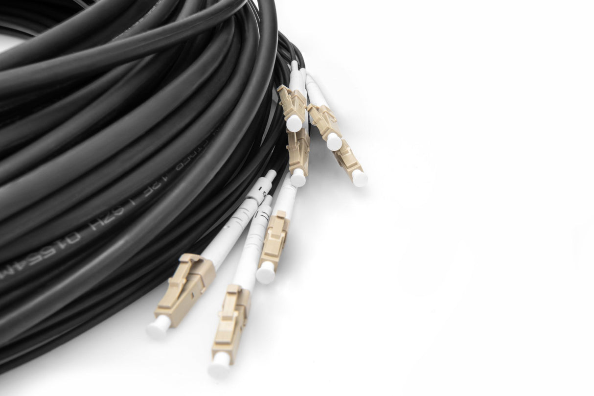 EAN 4016032485131 - Digitus DK-24338U030BK-BBB Cable de fibra óptica e InfiniBand 30 m U-DQ(ZN) BH Negro imagen 4