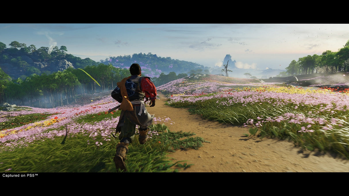 Juego Ghost Of Tsushima Directors Cut Playstation 5