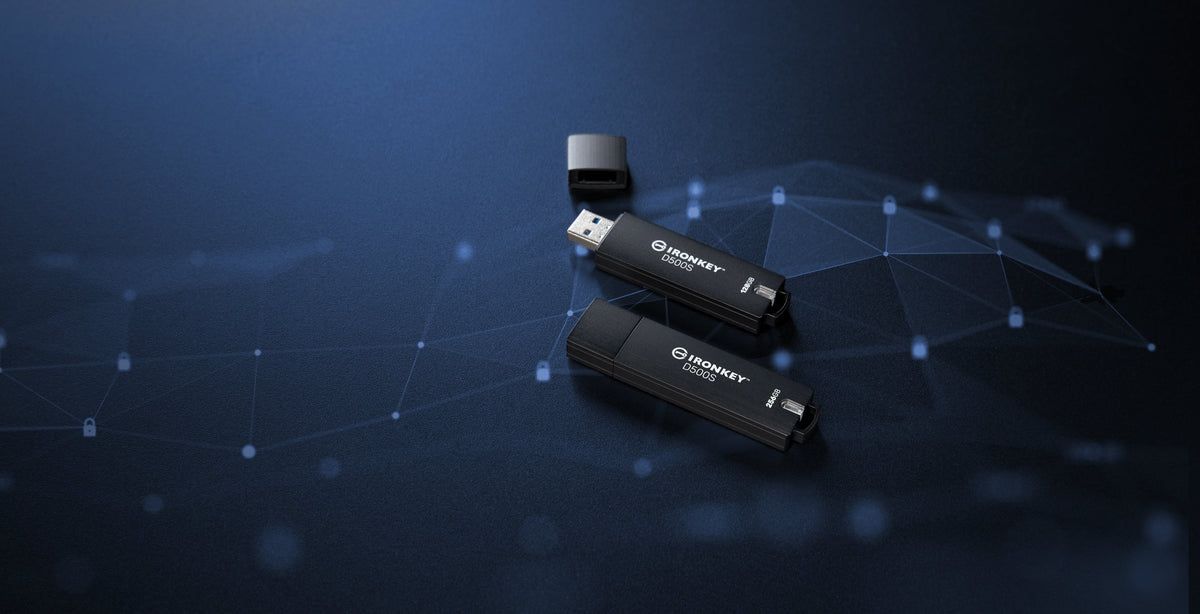 EAN 0740617334746 - Kingston Technology IronKey D500S unidad flash USB USB tipo A 3.2 Gen 1 (3.1 Gen 1) Negro imagen 10