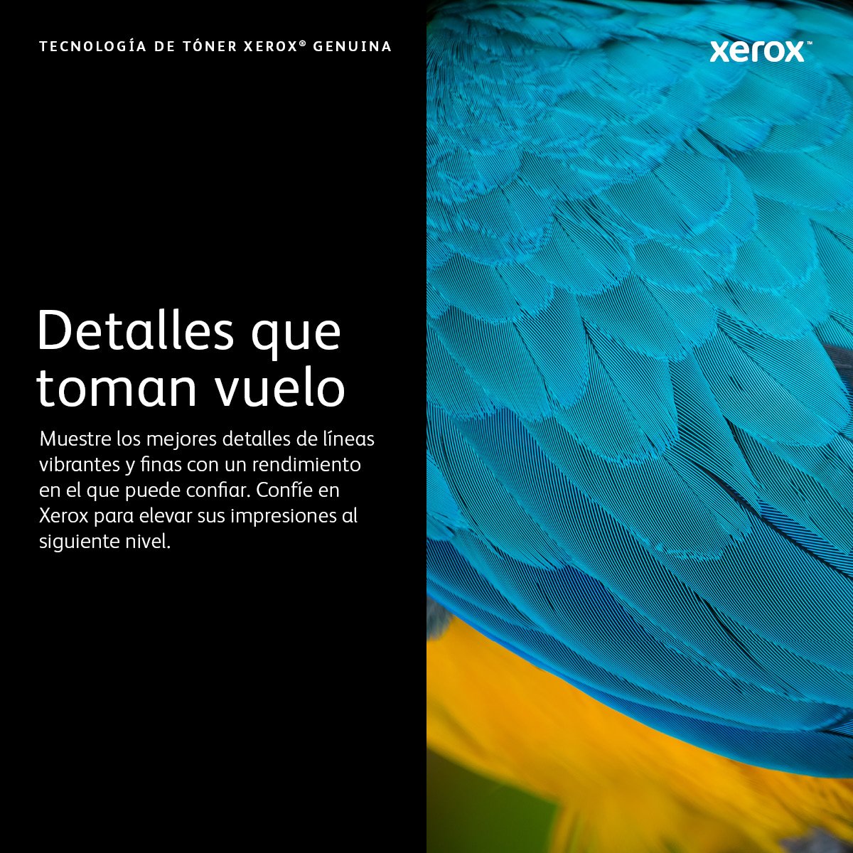EAN 0095205866162 - Xerox 106R03921 cartucho de tóner 1 pieza(s) Original imagen 3