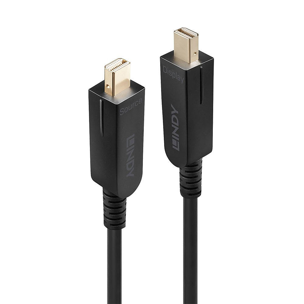 EAN 4002888384810 - Lindy 38481 cable DisplayPort 20 m Mini DisplayPort Negro imagen 2