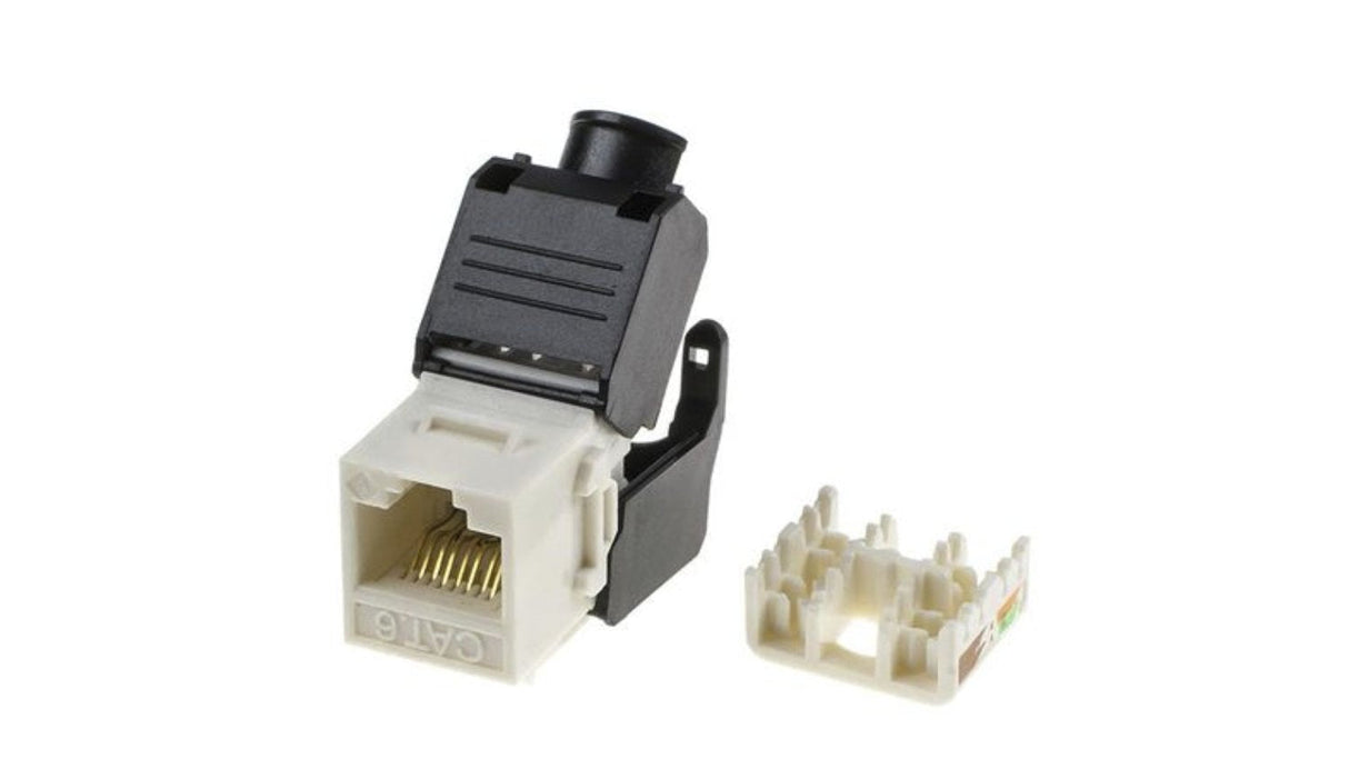 Pashak Conector Keystone Utp Cat. 6 Toolless 180º Blanco