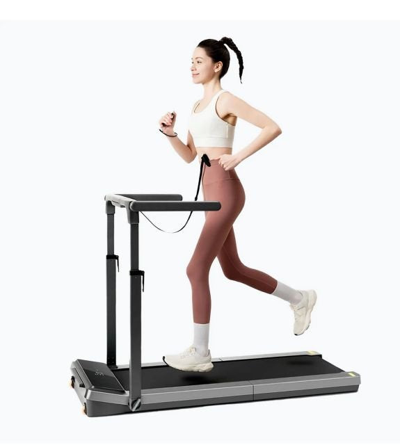 Kingsmith Z3 Hybrid+ Treadmill-Side Handrail 1.0 Hp (1-10km/H)