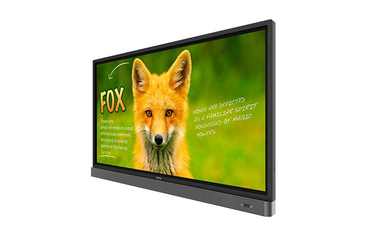 *Benq Rp653k