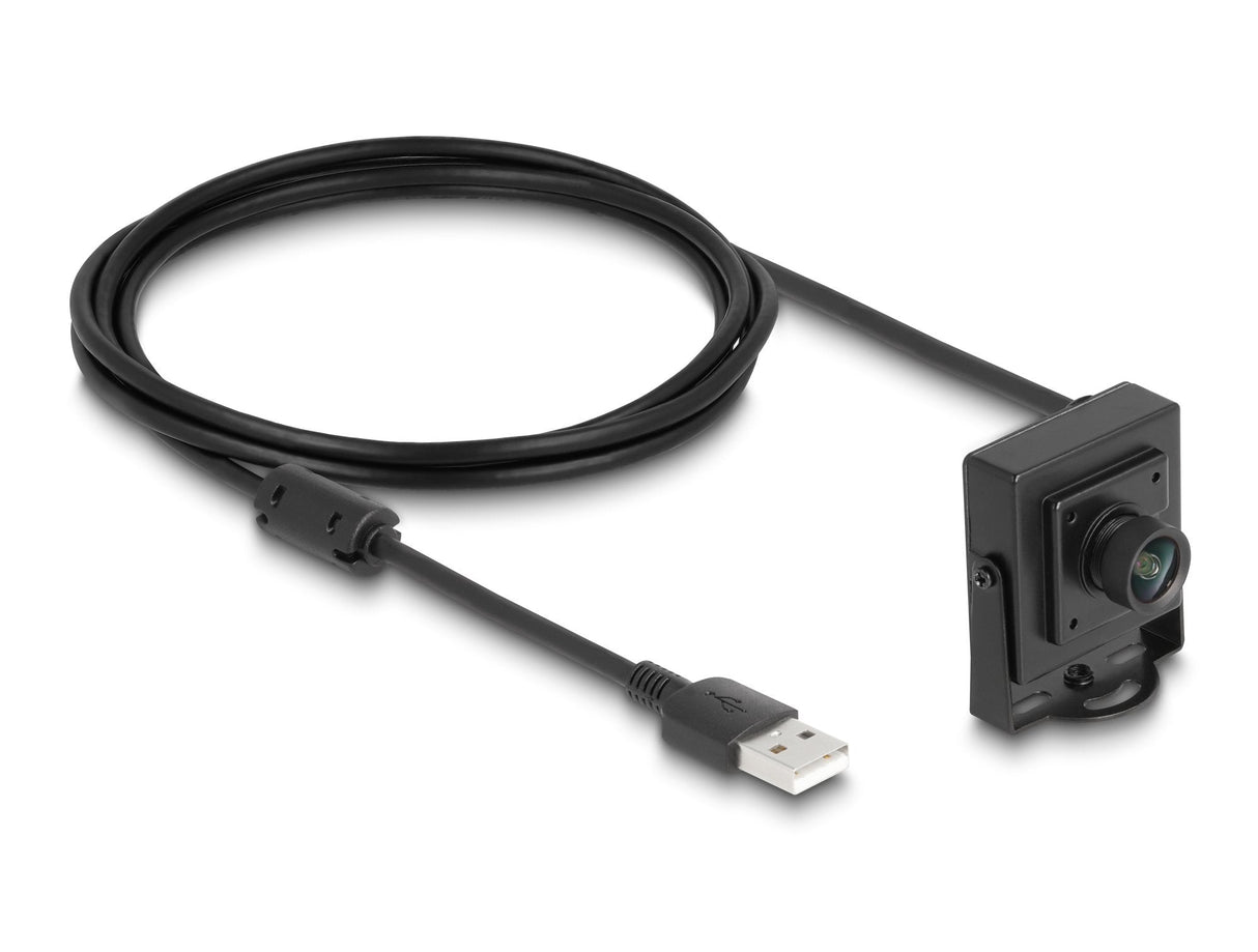 Delock Usb 2.0 Kamera 2.1 Megapixel 100° Fixfokus