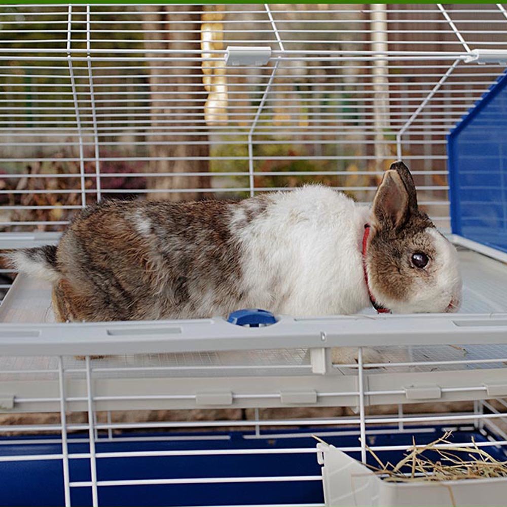 EAN 8010690172521 - Ferplast Barn 120 Rabit Gris imagen 2