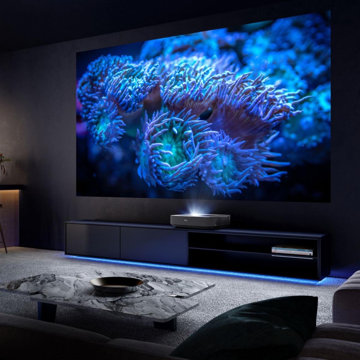 EAN 6942147495117 - Hisense PL1SE Smart TV Wifi Negro imagen 5