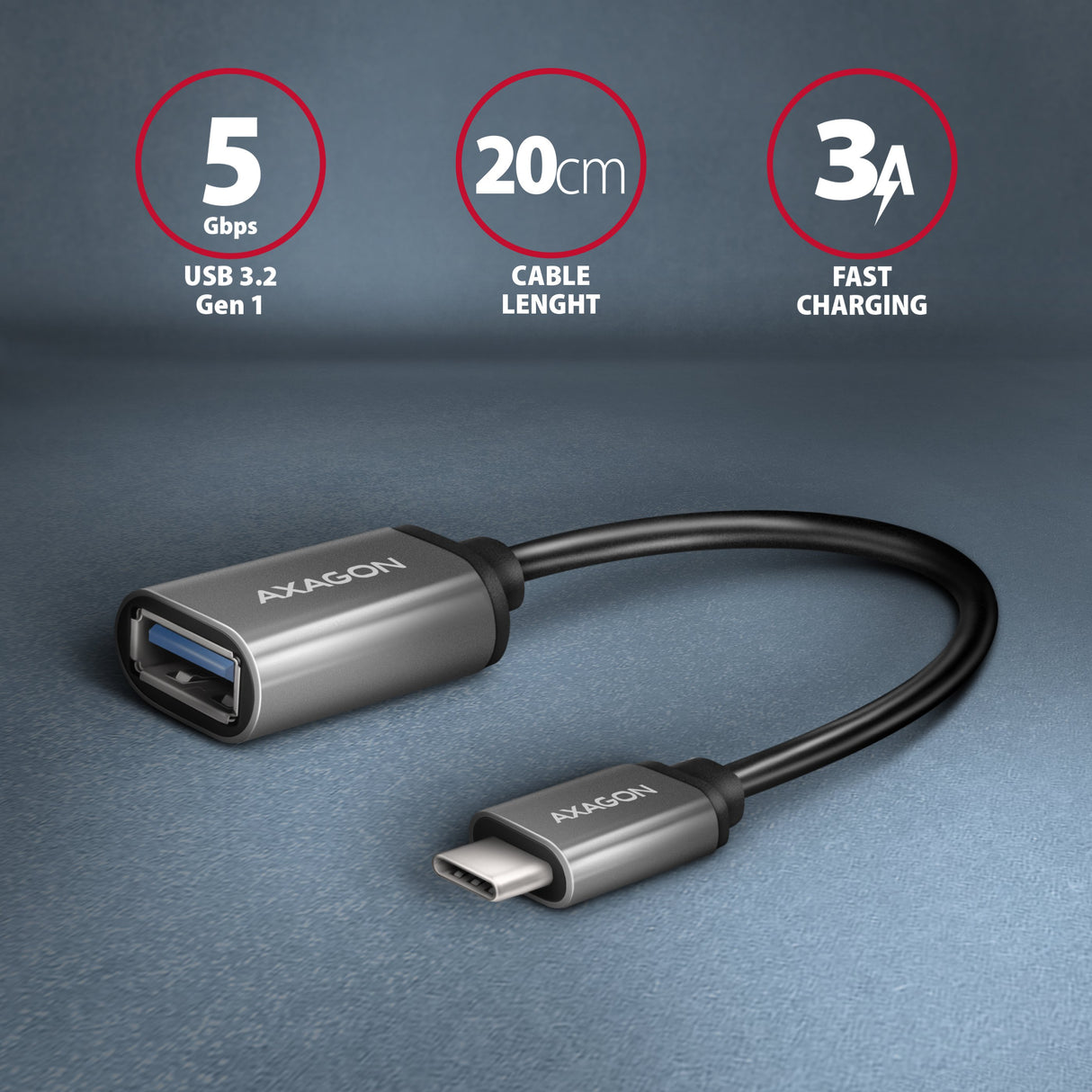 EAN 8595247905994 - Axagon RUCM-AFAC cambiador de género para cable USB C USB A Gris imagen 2