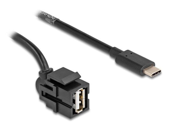 Delock 88056 Módulo Keystone Usb 2.0 A Hembra > Usb Type-C Macho 250° Con Cable 0,5 M