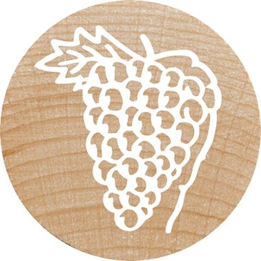 Colop Woodies Mempel-Set "Mix" Retail