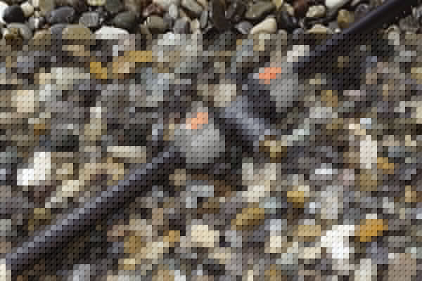 Gardena 2790-20 Sprinklersystem T 25mm> 3/4 ", Conexión Negro / Gris