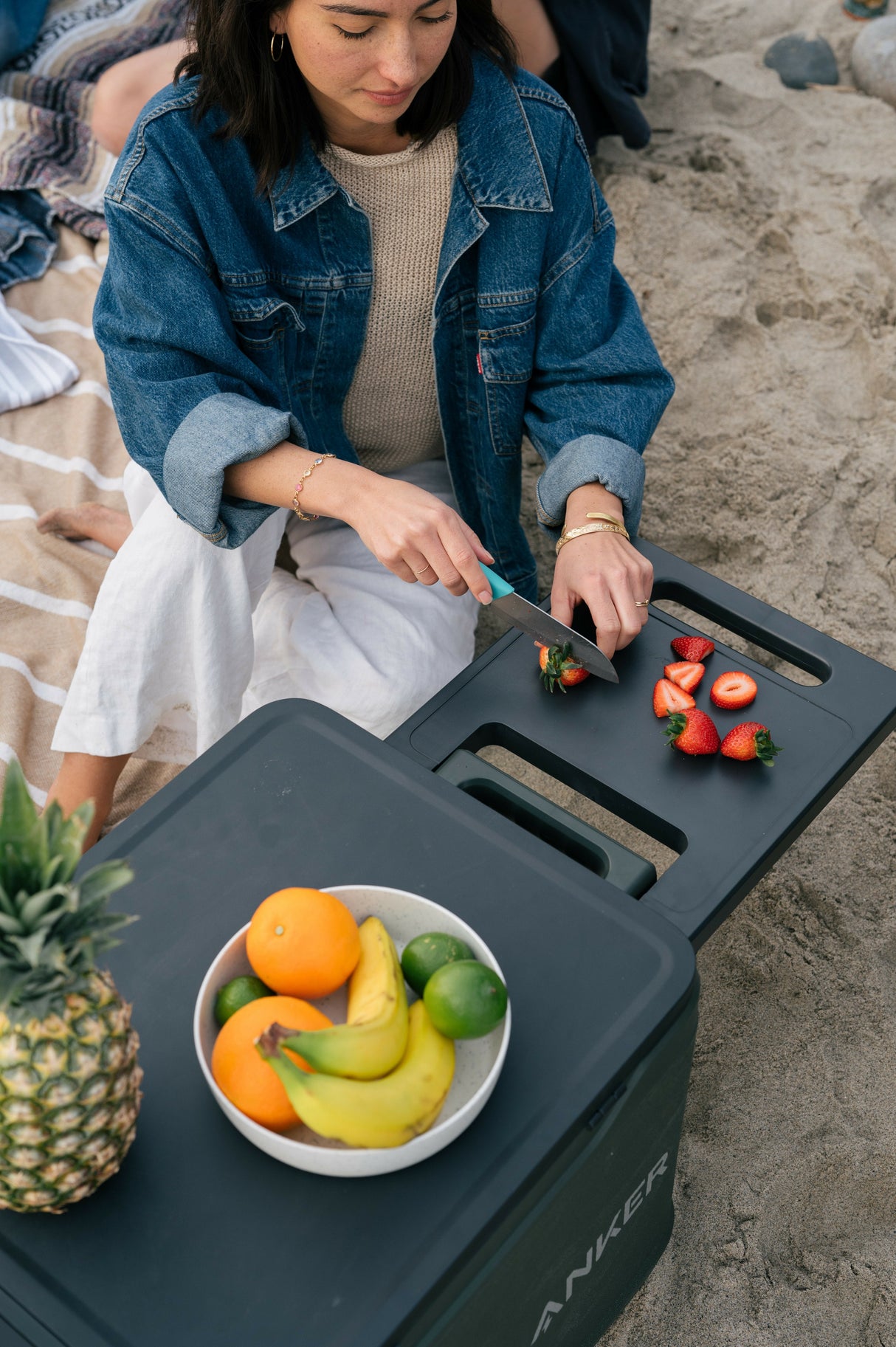 Anker Everfrom Powered Cooler 33l + Batería De Refrigeración
