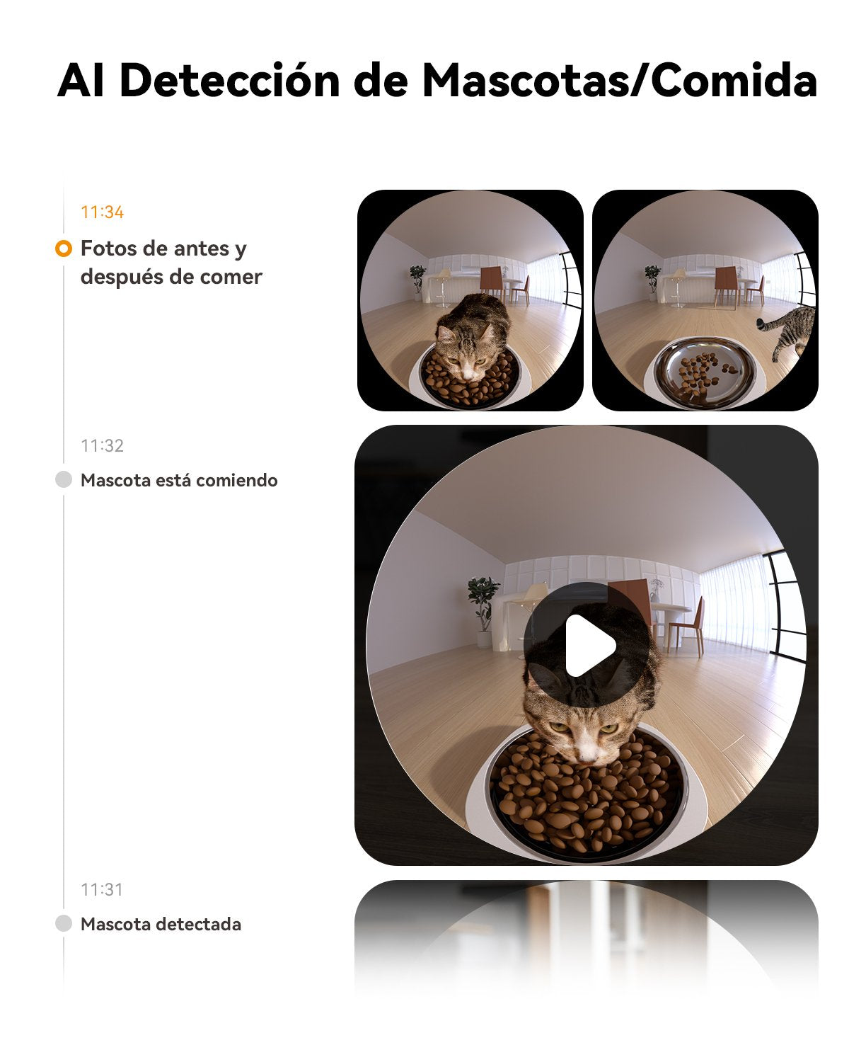Imou Pf1 4l Video Pet Feeder