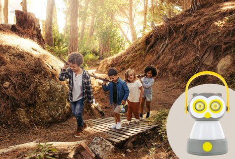 Schwaiger Cale100 511 Linterna De Camping Linterna De Camping A Pilas