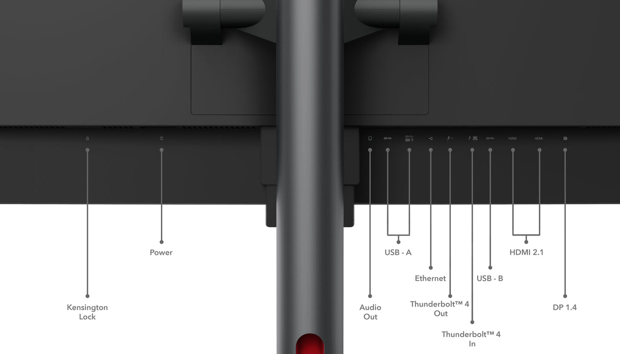 EAN 196802362085 - Lenovo ThinkVision P49w-30 LED display 124,5 cm (49") 5120 x 1440 Pixeles DQHD Negro imagen 20