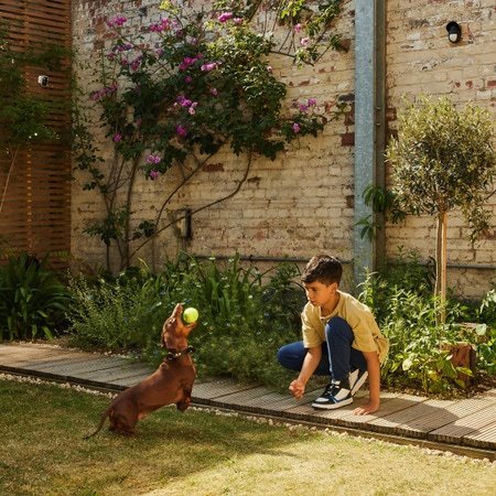 Yale Outdoor Window/Door Contact Sistema Disparador De Alarma Negro