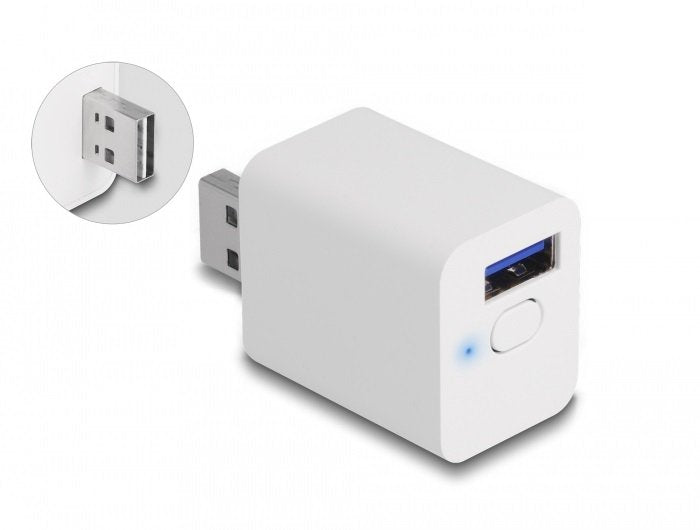 Delock Adaptador Inteligente Wlan Easy-Usb Mqtt