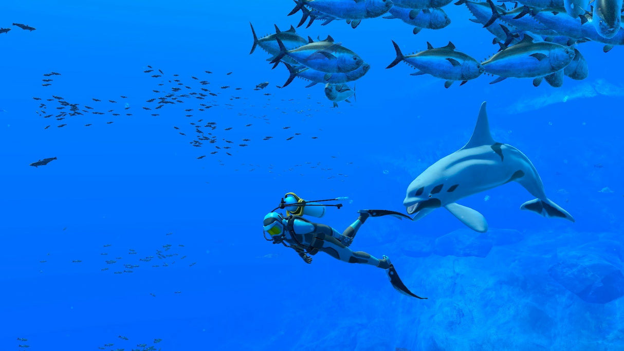 EAN 0045496511869 - Nintendo Endless Ocean Luminous (Switch) Estándar Plurilingüe Nintendo Switch imagen 3