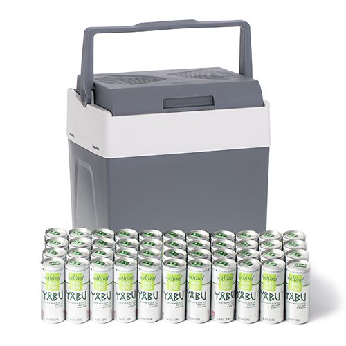 Mini Nevera Portatil Adler Ad 8078