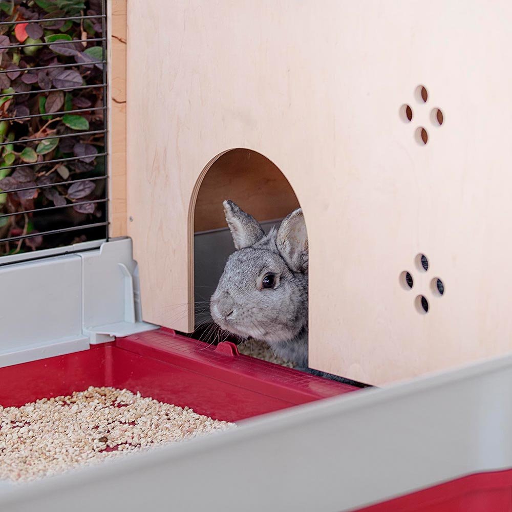 Krolik 140 Plus - Jaula Para Conejos Plegable