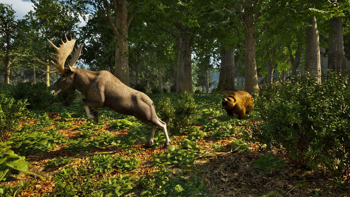 Juego Park Ranger Simulator Playstation 5
