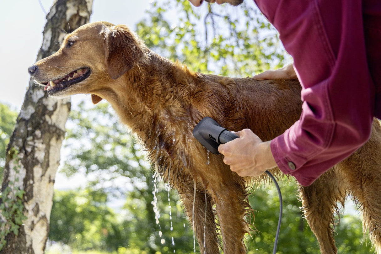 Kärcher Cepillo Para Lavar Pelos De Animales