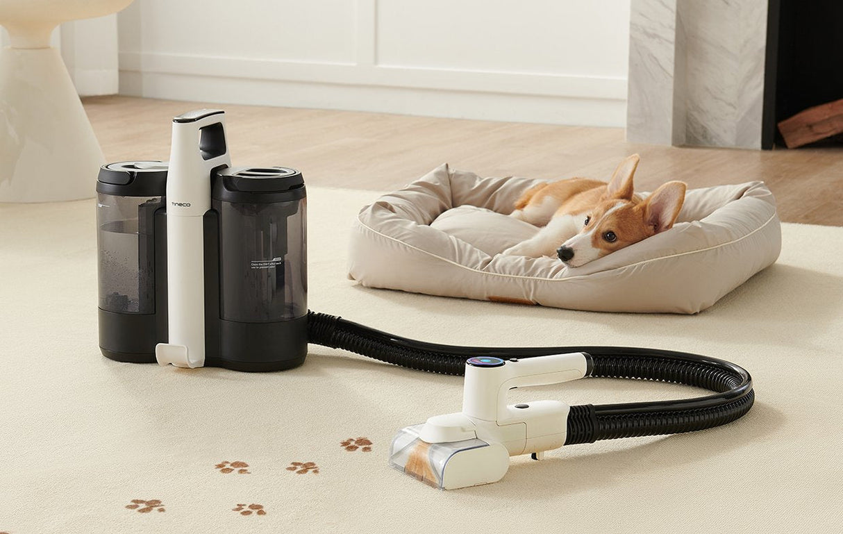 Aspiradora Tineco Carpet One Spot Essentials