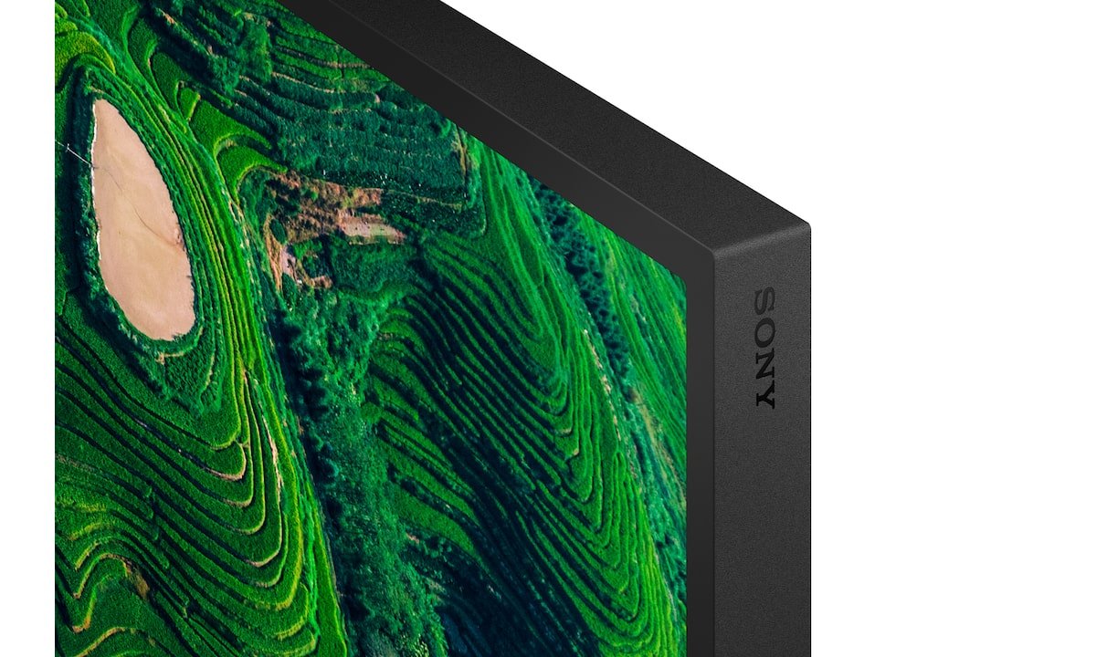 Sony 65" Pro Bravia 500nit Dbng Standard Display
